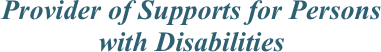 Provider of Supports for Persons with Disabilities